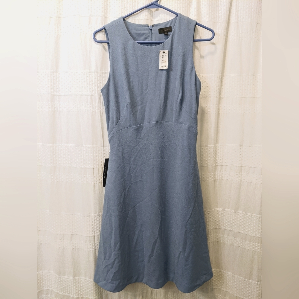 The Limited size small dress